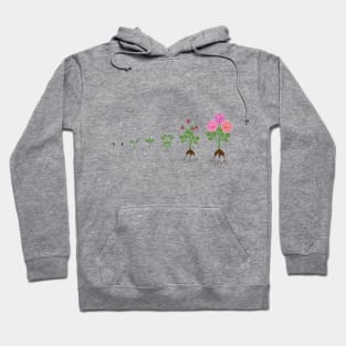 Dahlia Lifecycle Hoodie